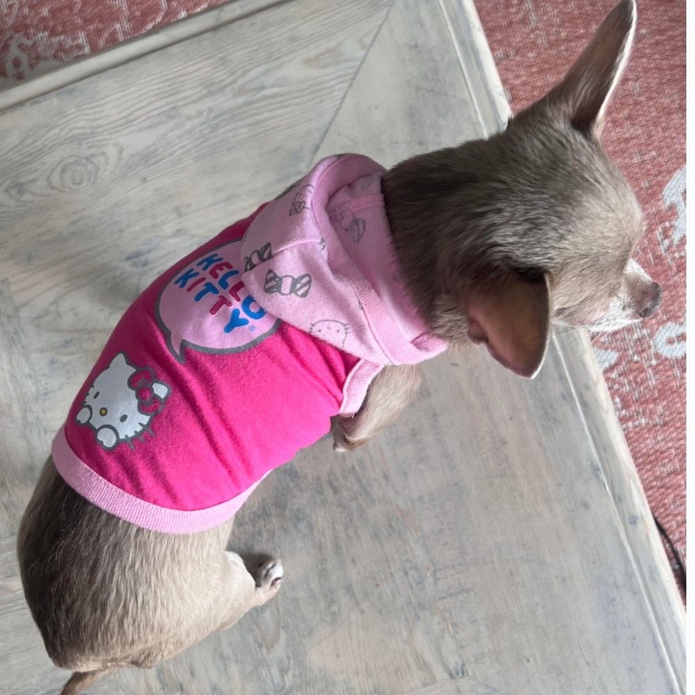 Hello Kitty Hoodie for dogs size small- (9” length)
